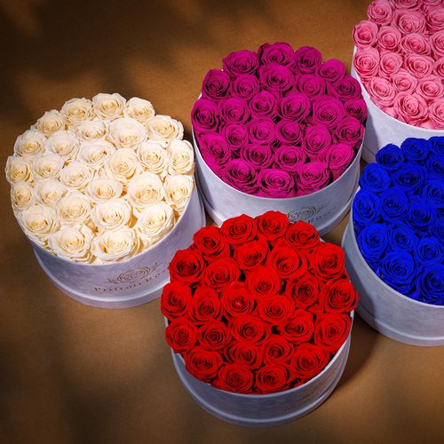 Prifroti 27 Flowers in a Luxury Suede Box, Birthday Gifts for Women, Preserved Flowers, Mothers Day Roses Gift for Mom, Red