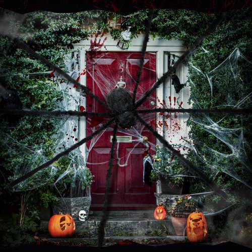 Wettarn 2 Pack 13 ft Giant Spider 2026 Upgrade Scary Halloween Large Fake Realistic Big Spider Decorative Hairy Props for Halloween Outdoor Indoor Yard Party House (Black)