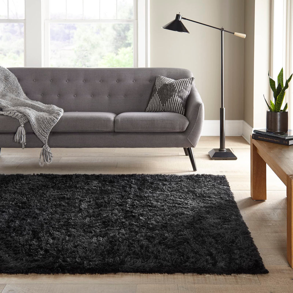 Ophanie 6x9 Charcoal Rugs for Living Room, LargeFluffy Shag Fuzzy Plush Soft Living Room Area Rugs, Floor Shaggy Carpets for Bedroom, Carpet for Kids Boys Girls Dorm Nursery Home Decor Aesthetic