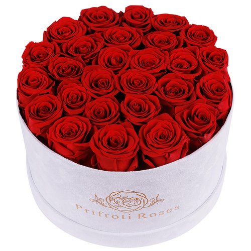 Prifroti 27 Flowers in a Luxury Suede Box, Birthday Gifts for Women, Preserved Flowers, Mothers Day Roses Gift for Mom, Red