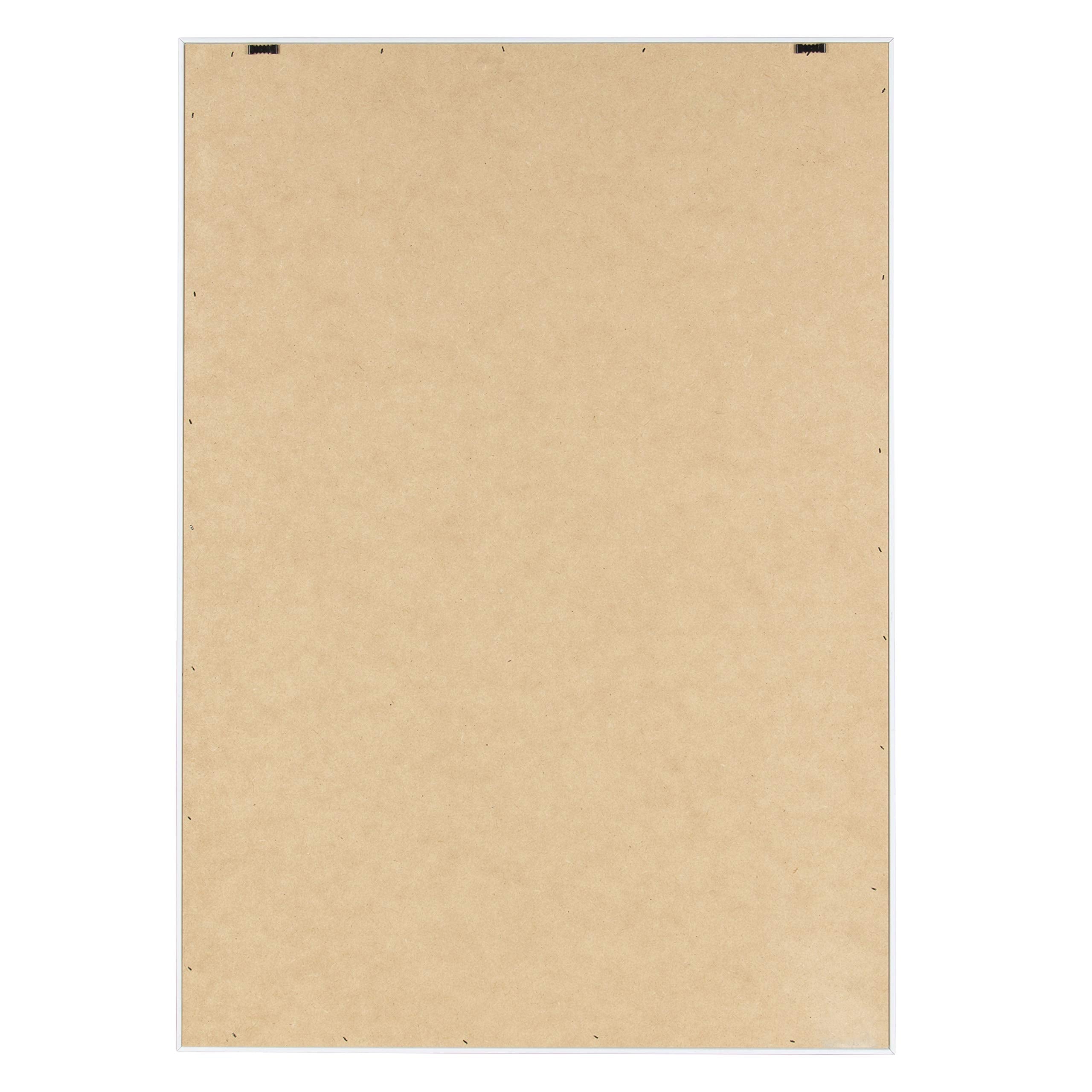 Kate and Laurel Sylvie Agave II Framed Canvas Wall Art by F2Images, 23x33 White, Modern Succulent Wall Decor