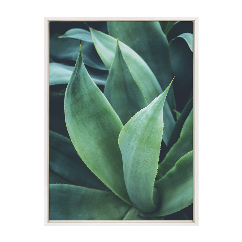 Kate and Laurel Sylvie Agave II Framed Canvas Wall Art by F2Images, 23x33 White, Modern Succulent Wall Decor
