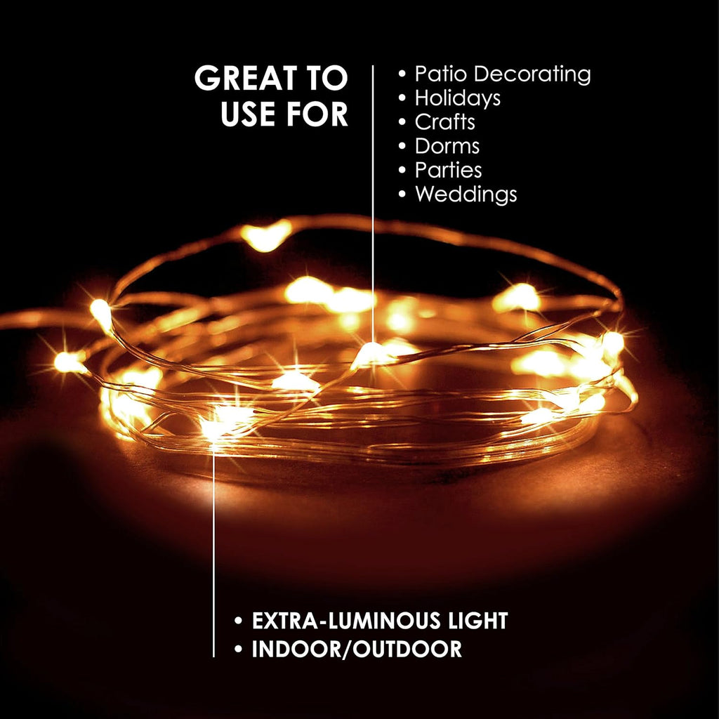 Skiennix 20 LED Warm White String Lights - 6.5 Feet Silver Wire, Battery Powered for Indoor/Outdoor Decor