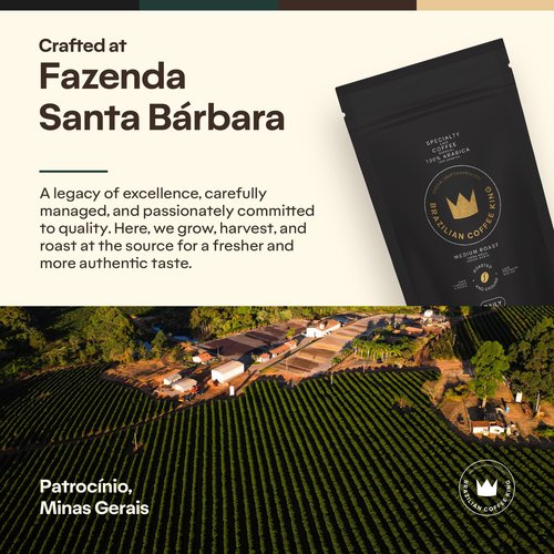 Specialty Coffee Daily 8.8 oz – Arabica Roasted Ground in Brazil – Smooth, Comforting Flavor with Notes of Chocolate, Caramel and Nuts – Medium-Dark Roast, Carefully Harvested – Brazilian Coffee King