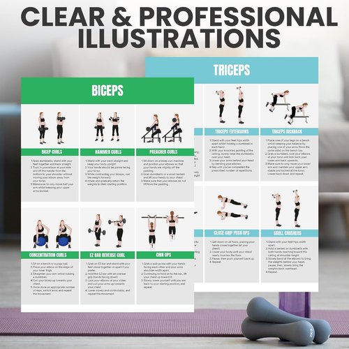 Full Body Workout Poster by [Brand Name] - Ultimate Home Gym Exercise Chart for Glutes, Legs, Back & Abs | Strength Training Guide with Squats, Lunges & Core Exercises