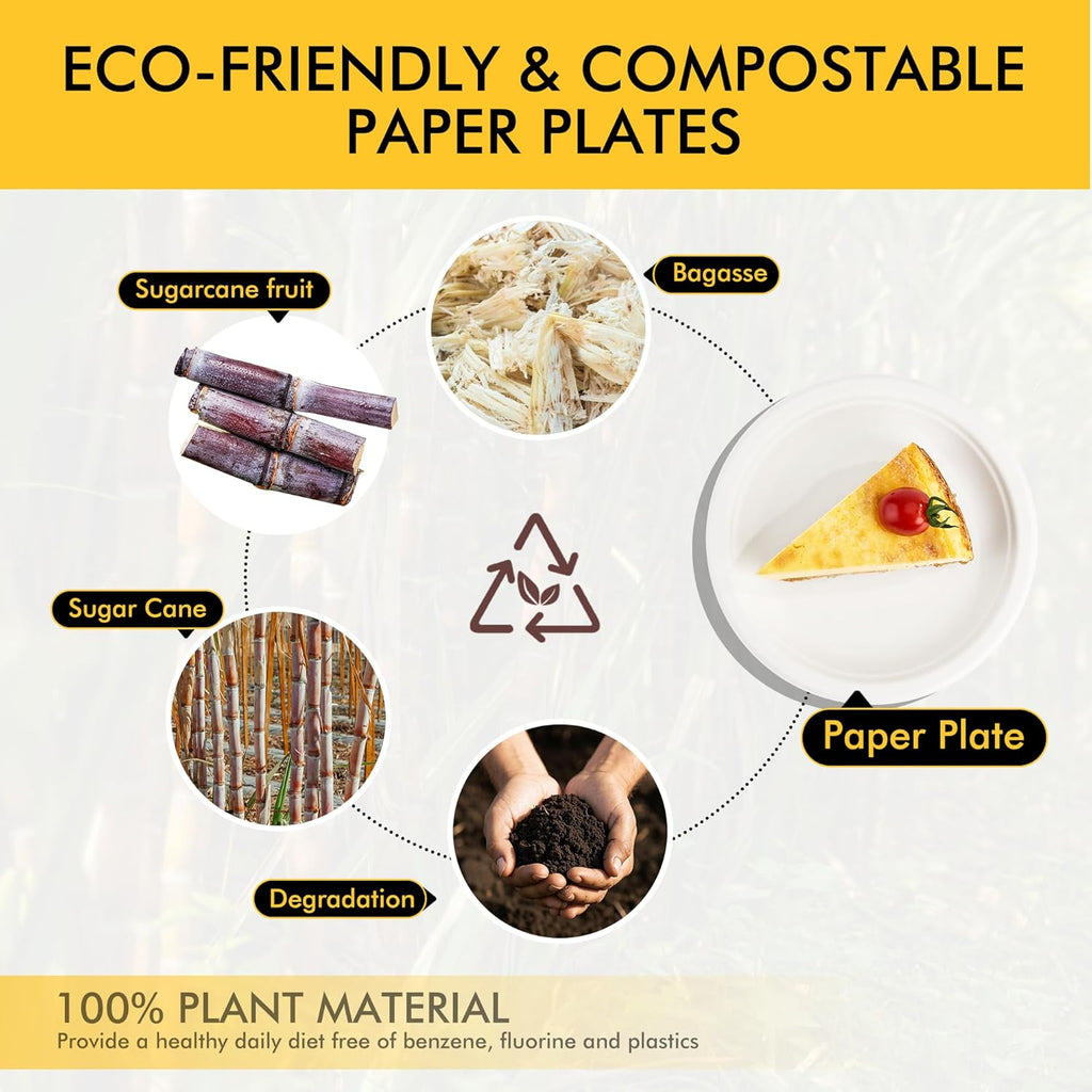 RACETOP Compostable Small Paper Plates - 6 Inch Biodegradable Dessert Plates | 100 Pack, Heavy Duty, Unbleached White