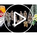 10-Piece Hand-Painted Nativity Set, 4.5-Inch Resin Manger Scene Figurines