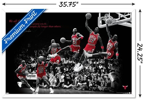 Trends International Michael Jordan - Fly Wall Poster, 22.375" x 34", White Framed Version
