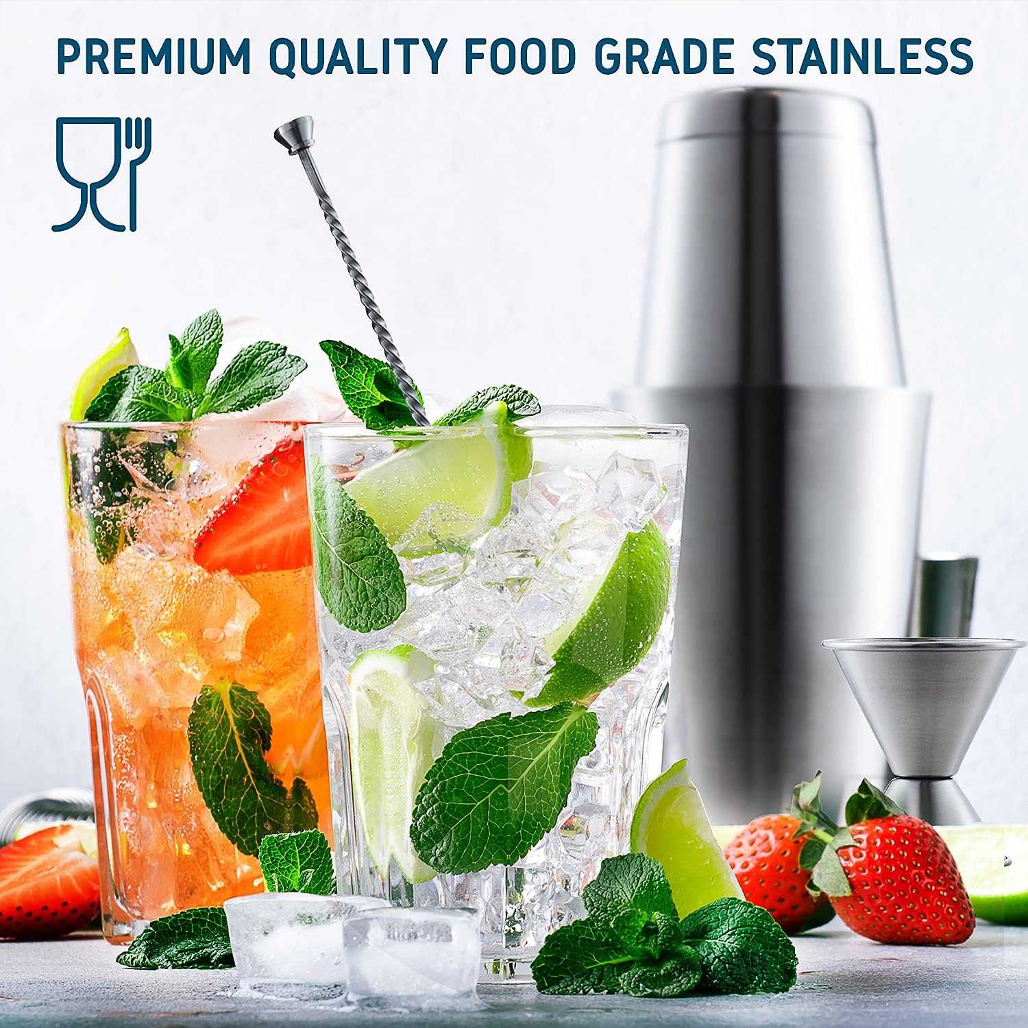 Skiennix Cocktail Shaker Set - 16-Piece Stainless Steel Mixology Kit with Bar Tools & Recipe Book | Silver