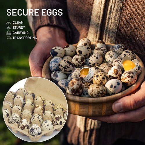 HavRixor Quail Egg Cartons 30 Pack- Holds Up to Two Dozen 24 Counts Eggs Bulk Blank Container Empty Cardboard Thickness Natural Pulp Egg Boxes, with Stickers