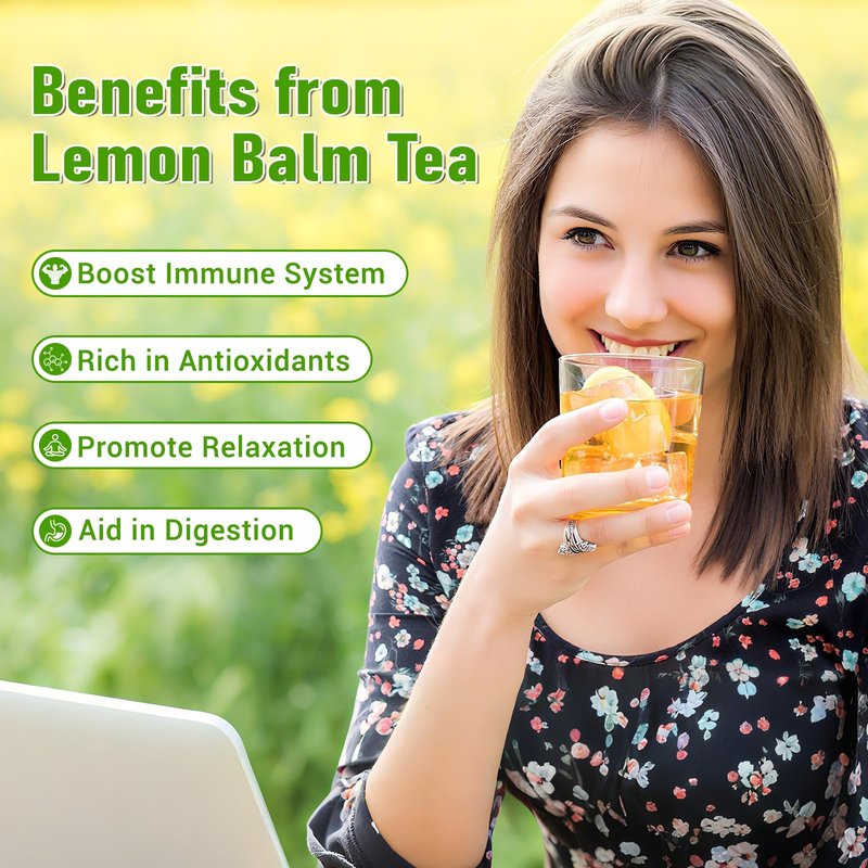 Lemon Balm Tea, 100% Pure & Natural Lemon Balm Leaves Herbal Tea Bags, Promotes Relaxation & Aid In Digestion, Caffeine Free, Non-GMO, Additives Free （1 Pack/100 Bags)