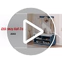 Entryway Hall Tree with Padded Bench, Shoe Storage, and 5 Metal Hooks