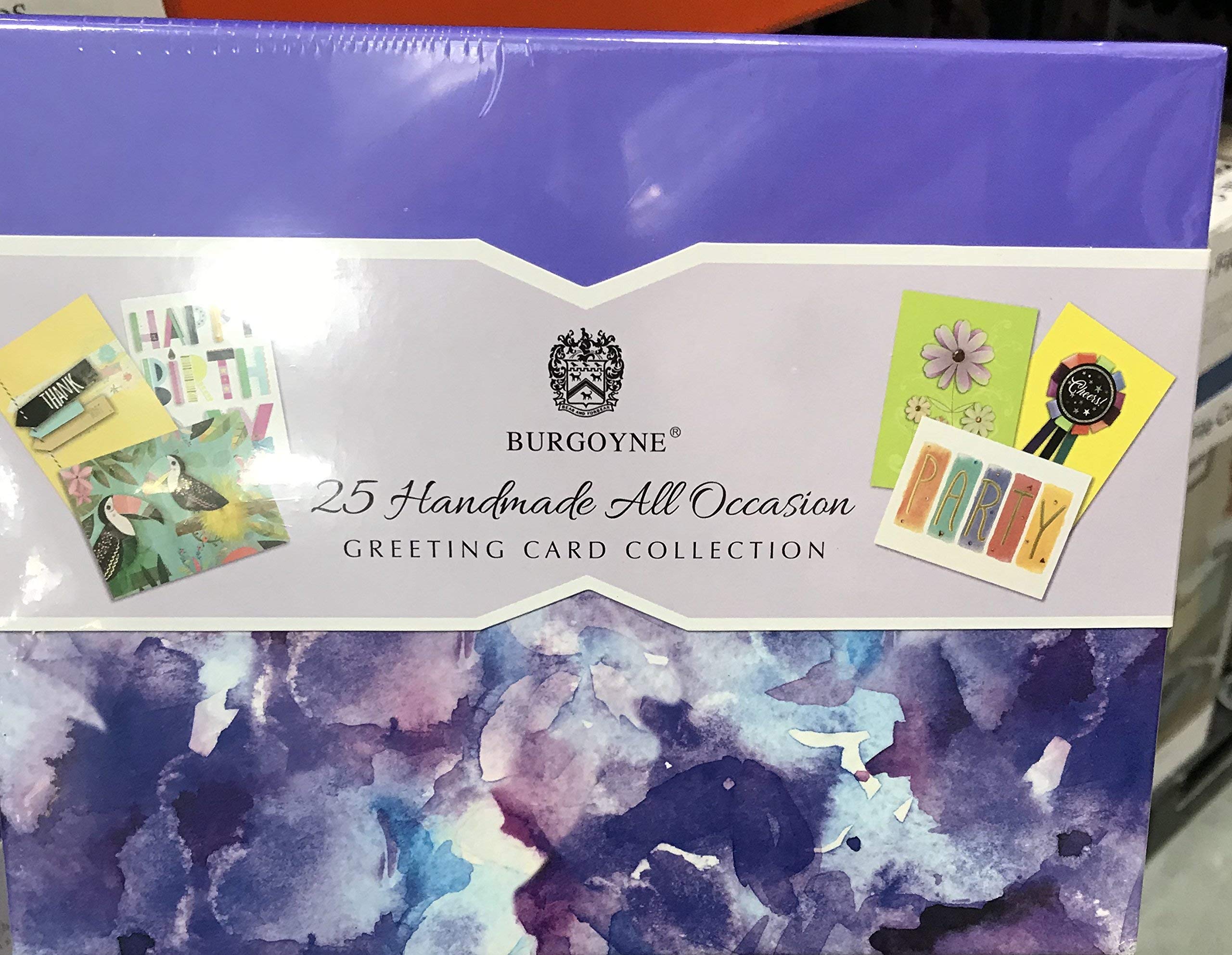 PLESIU Burgoyne 25 All-Occasion Cards with Greeting Card Organizer (Limited Edition 2019)