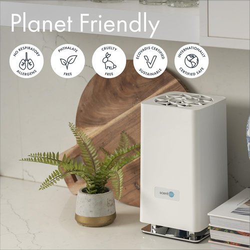 ScentAir Whisper Home Monthly Plug-in Refill, Fragrance Cartridge for Home and Office, Pine Forest