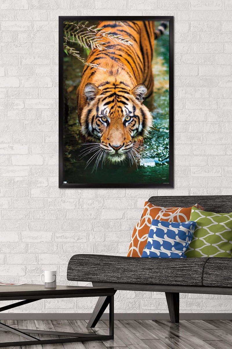 Trends International Tiger - Water Wall Poster, 22.375" x 34", Black Framed Version