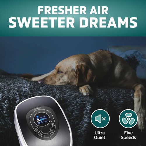 GermGuardian 5-In-1 HEPA Air Purifier - Large Room Coverage Up to 915 Sq. Ft. | UV-C Light & Odor Reduction, Gray