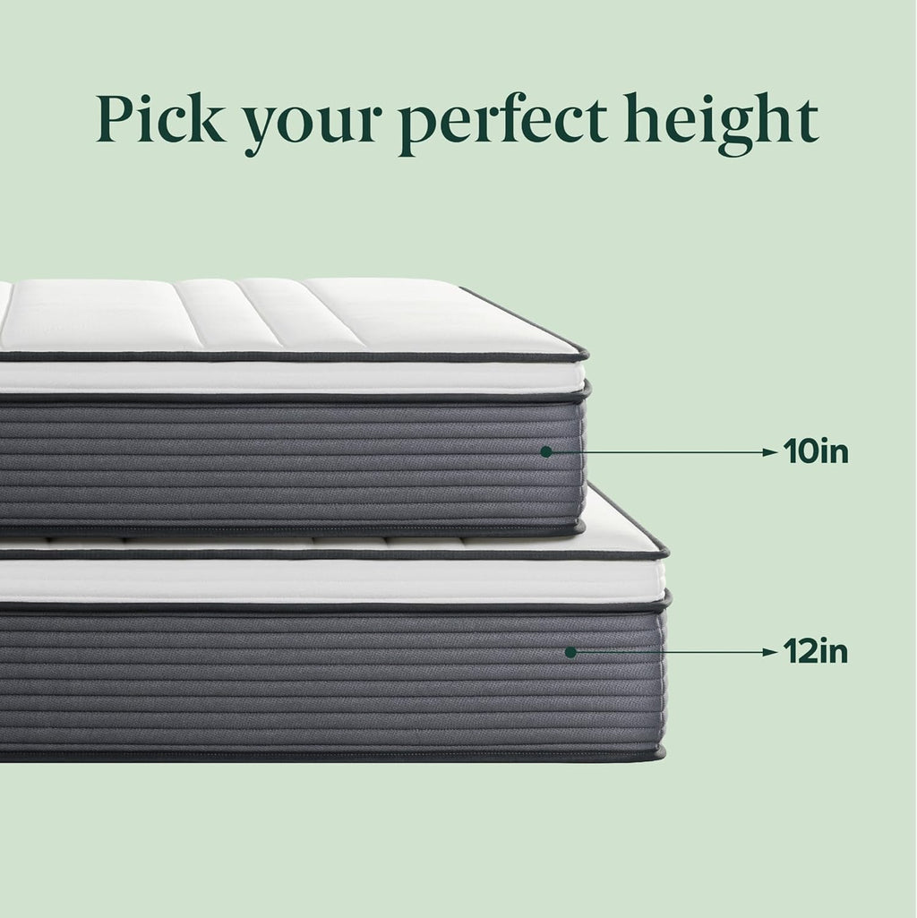 ZINUS 10 Inch True Support Hybrid Mattress - Queen Size | Fiberglass Free, Medium Feel, Motion Isolation