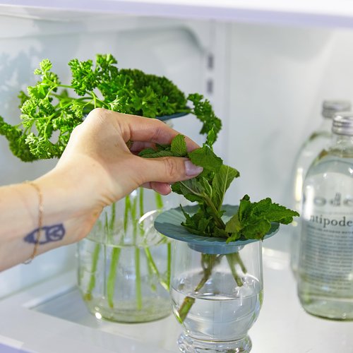 Modern Sprout Produce Keeper for Fresh Herbs & Greens - Eco-Friendly, BPA-Free, Sustainable Materials - Extends Freshness Up to 2 Weeks - Gift for Plant Lovers and Home Chefs - 2 Pack