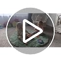 Soft Fluffy Round Area Rug (4ft) - Light Pink Non-Slip Plush Carpet
