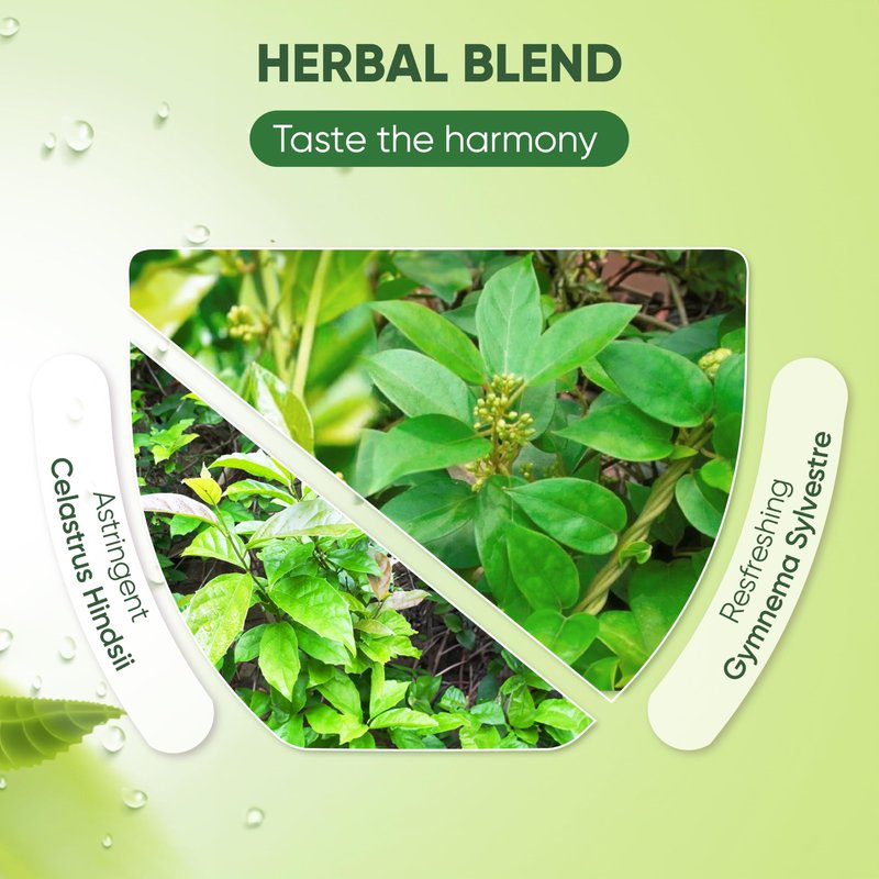 NMPT Dried Gymnema Sylvestre Leaf Tea, Celastrus Hindsii, 100% Hand Pick, Organic Herbal Tea, 40 Count, Freeze Drying, Gluten Free, Dairy Free, No Sugar Added, Energy Boost & Health Support