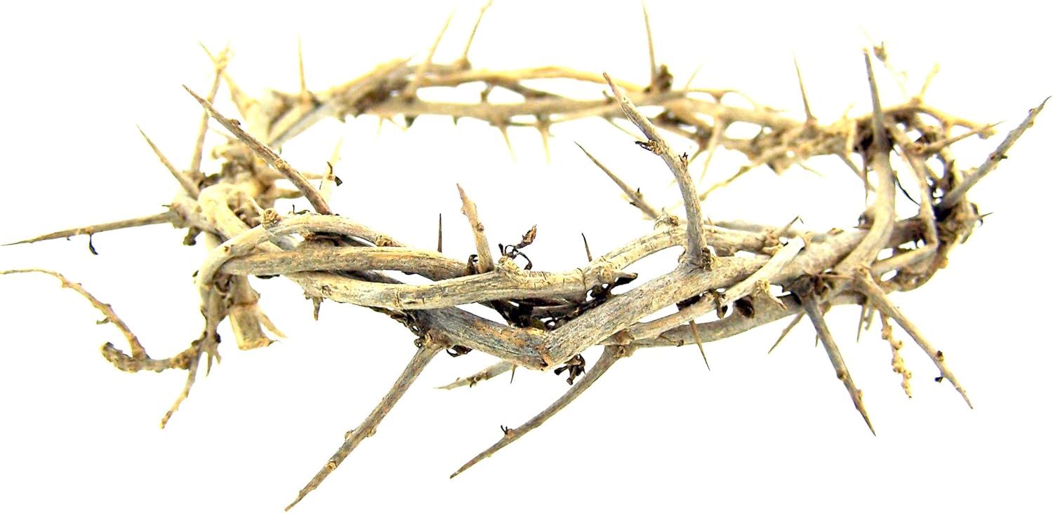 Skiennix Handmade 6-Inch Crown of Thorns Cross Accent | Perfect Religious Gift for Easter