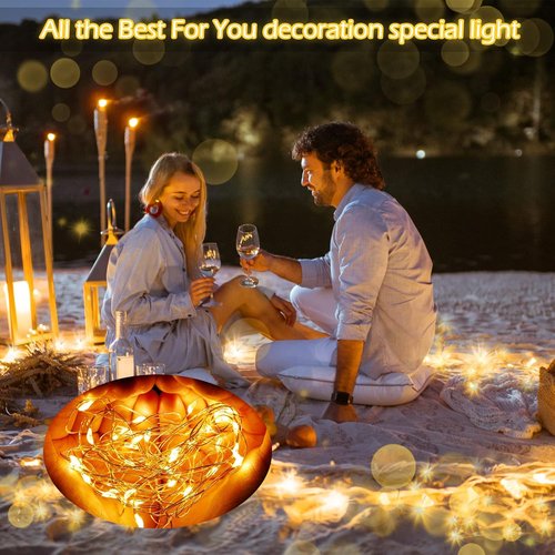 Hortsun Fairy Lights - 20 LED Battery Operated String Lights | 7 Ft Mini Waterproof Twinkle Lights for Weddings & Parties (Warm White)