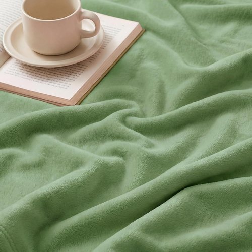 Bedsure GentleSoft Fleece Blanket - Cozy Lightweight Plush Twin Size Green 60x80 Inches for Bed & Travel