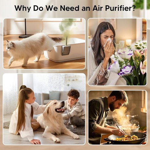 H14 HEPA Air Purifier by [Brand Name] - Ultra Quiet 24dB Aroma & Sleep Mode - Ideal for Rooms Up to 1250 Ft², White