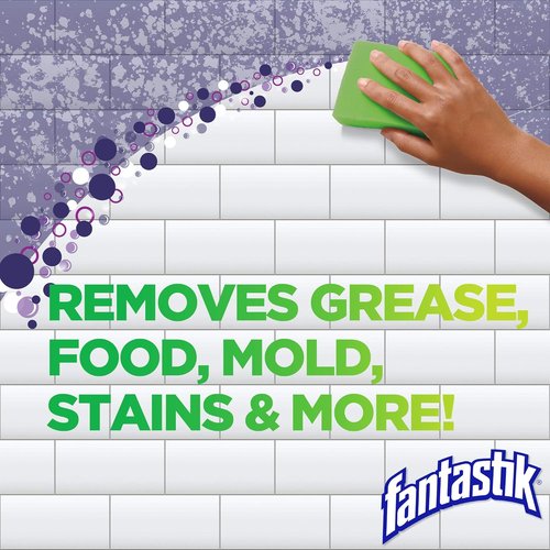 Fantastik All-Purpose Cleaner - Powerful Bleach Formula | 32 Fl Oz for Deep Cleaning