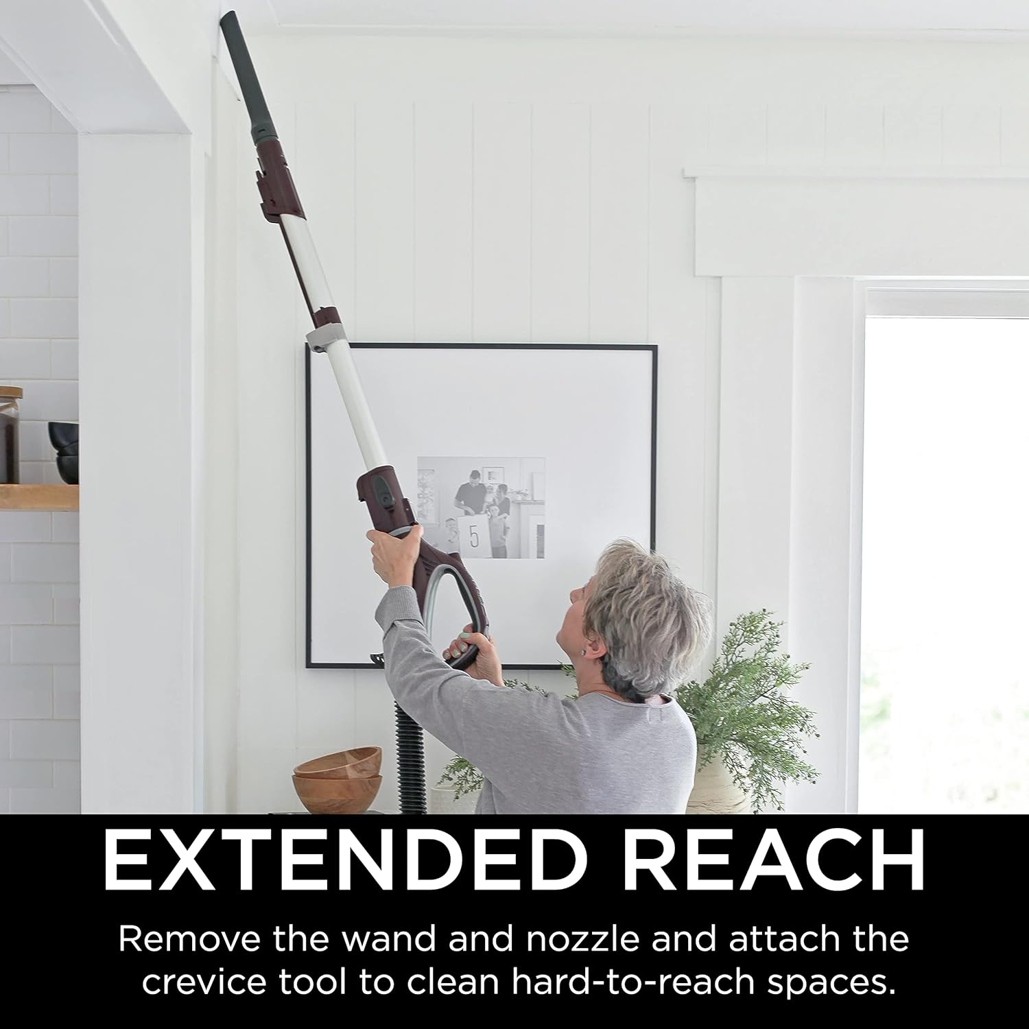 Shark NV752 Rotator Upright Vacuum - Powered Lift-Away with HEPA Filter & LED Headlights | Bordeaux