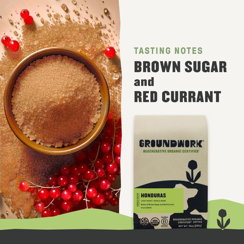 Groundwork Coffee Co Organic Regenerative Honduras Whole Bean Coffee, 10 Oz