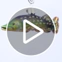 Hand-Blown Glass Pike Fish Christmas Ornament for Holiday Tree Decor