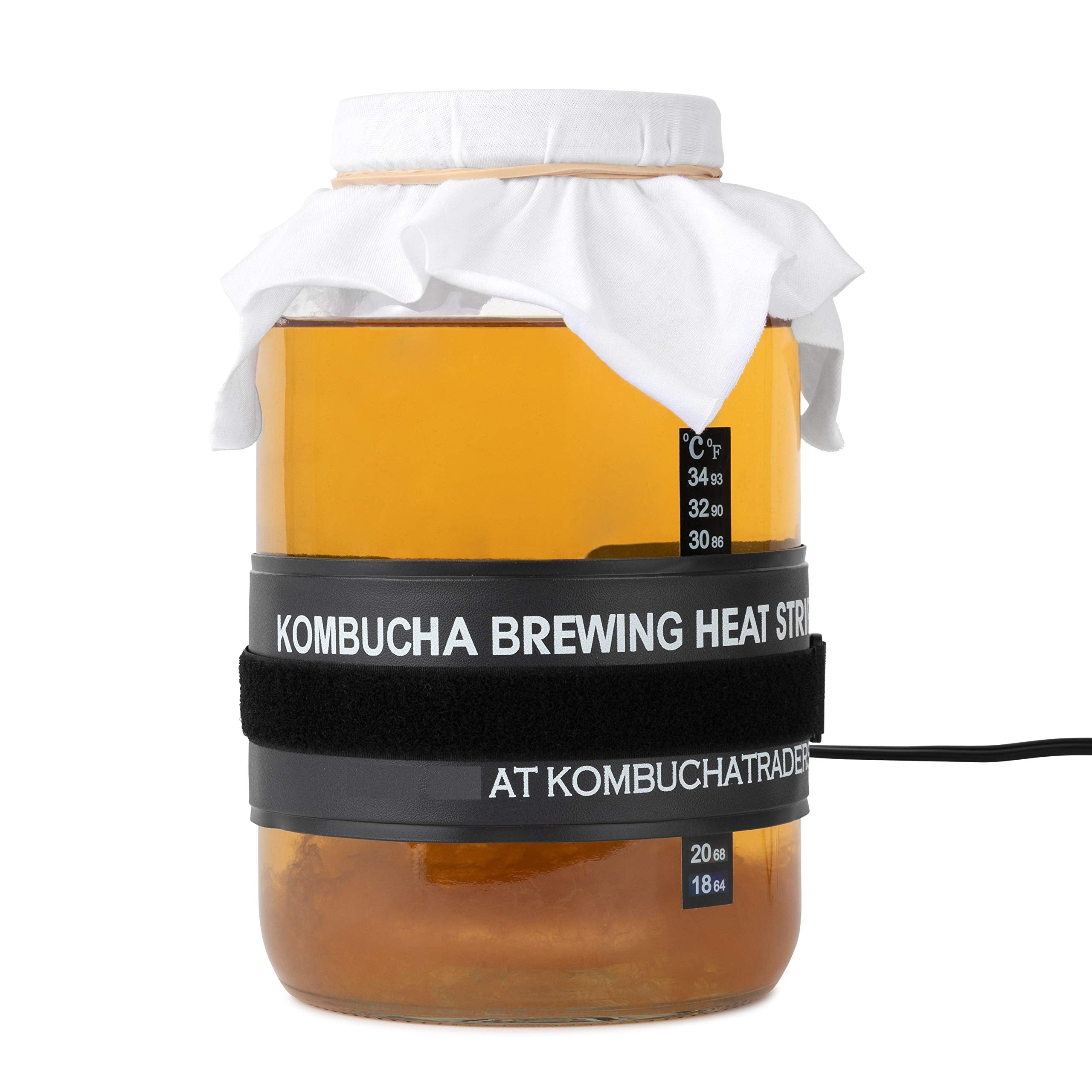 Kombucha Starter Kit (Deluxe with Heating Mat) SCOBY, Jar, PH Test Strips, Fermenting Ingredients and more