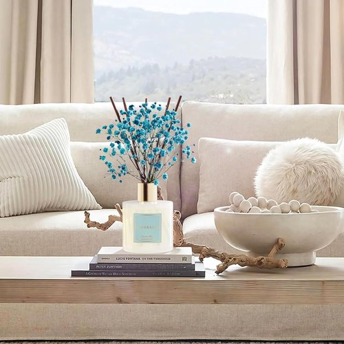 COCORRÍNA Reed Diffuser - Ocean Mist 6.7 Fl. Oz Set with Sticks & Preserved Baby's Breath | Home Decor