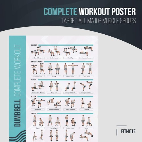 FitMate Dumbbell Workout Poster - Free Weights Routine Guide for Home Gym Decor (16.5 x 25 Inch)