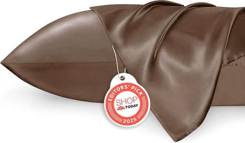 Bedsure Satin Pillowcases - Luxurious Silk-Like Queen Size Set of 2 | Envelope Closure, Brown, 20x30 Inches
