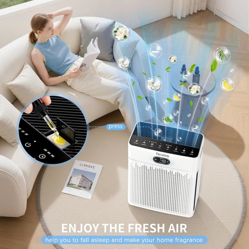**Air Purifiers | HEPA Air Purifier with Pet Mode & Timer for Up to 2200 Ft² - Black**
