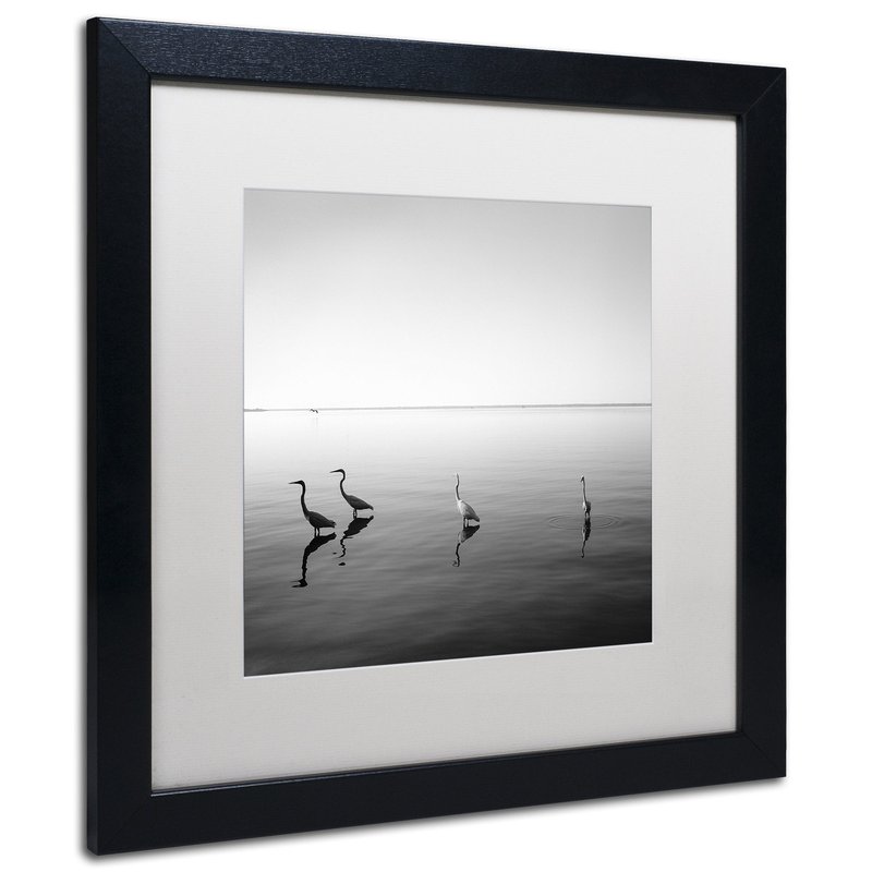 Trademark Fine Art 4 Herons by Moises Levy in White Matte and Black Framed Artwork, 16 by 16"