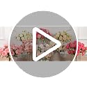 2-Pack Mixed Pink Artificial Silk Peony Bouquets for Home & Wedding Decor