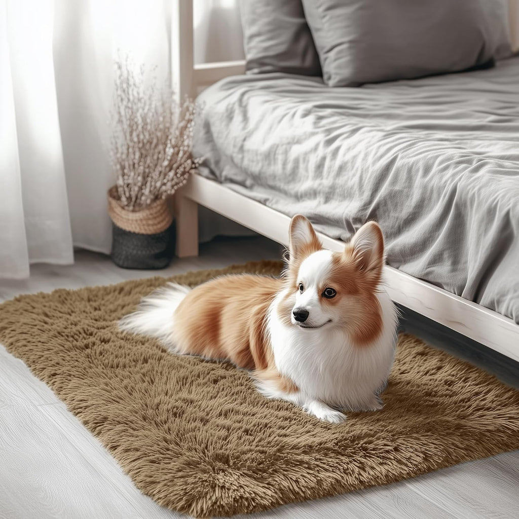 OLANLY Small Bedside Rug - Soft, Machine Washable Shaggy Throw Rug for Bedroom & Living Room | Taupe
