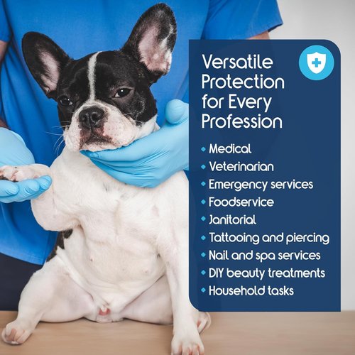 Inspire Nitrile-Vinyl Blend Exam Gloves - Disposable, Latex-Free, Multipurpose for Medical Use