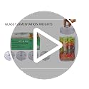 Glass Fermentation Weights 4-Pack with Easy Grip Handle for Wide Mouth Mason Jars