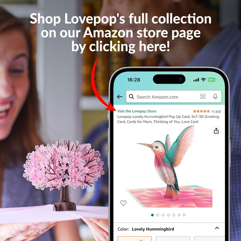 Lovepop Winter Bird Box Set (Assorted 12-Pack) Pop-Up Card for Her and Him - 3D Holiday Greeting Cards for Boys, Girls, Men, Women - 4.5" x 5.9" Paperpop Card - Envelope Included