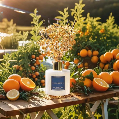 COCORRÍNA Reed Diffuser - Sweet Orange & Cedar | 6.7 Fl. Oz Set with Sticks & Preserved Baby's Breath for Home Decor