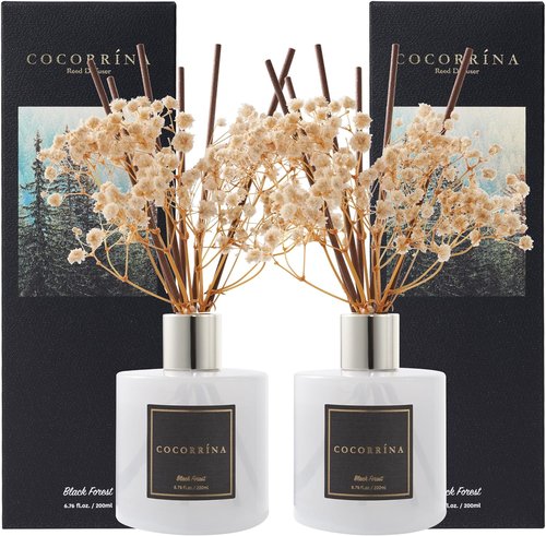 Cocorrína Premium Reed Diffuser Set - Black Forest Scent with Preserved Baby's Breath | 2 Packs, 6.7oz