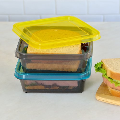 Youngever 3 Pack Sandwich Containers for Lunch Box, Reusable Food Storage Containers, Meal Prep Containers (Single Sandwich 20 Ounce)