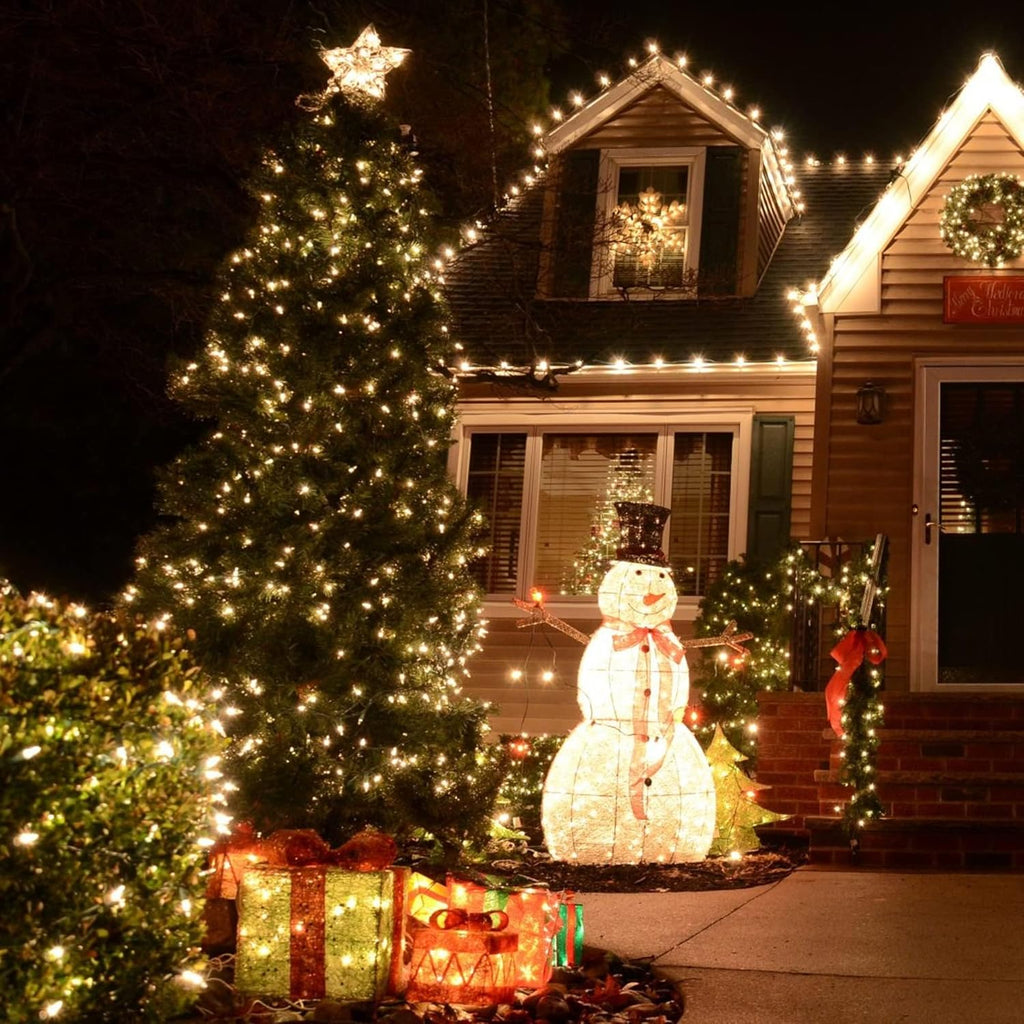 TW SHINE Warm White Christmas Lights - 20FT 100 Count Waterproof Indoor/Outdoor String Lights