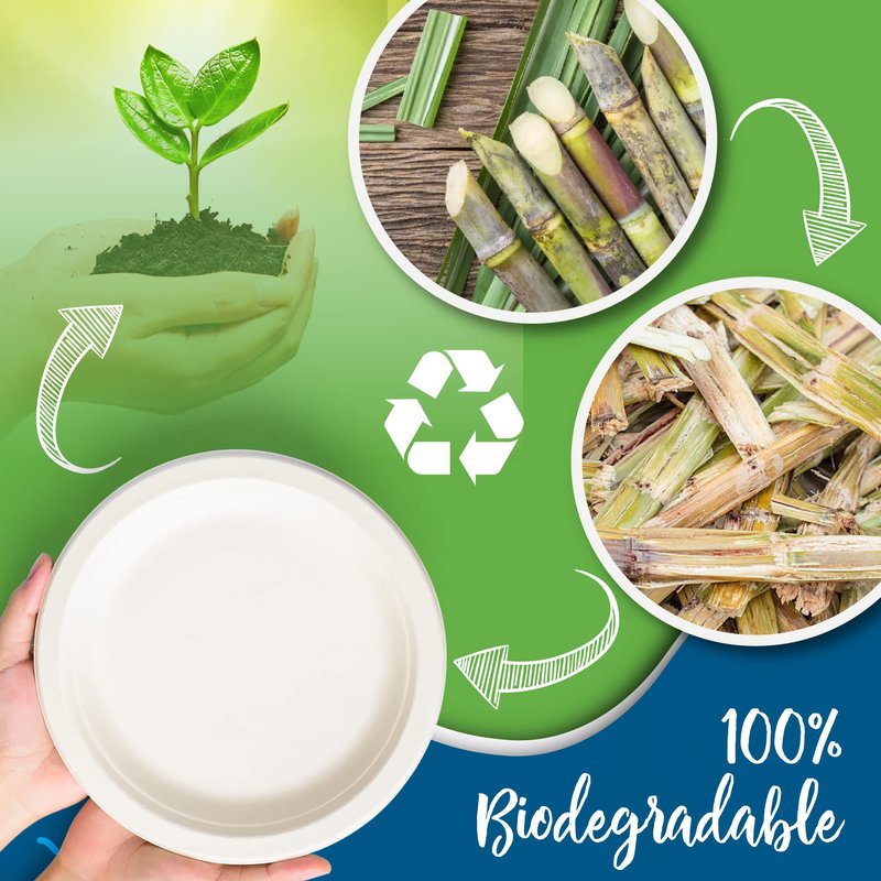 SafeWare White Paper Plates, 10 Inch, 150 Count - Food Grade Sugar Cane Fiber, Compostable & Biodegradable, Microwavable, Hot & Cold Resistant, Heavy Duty Disposable Plates Bulk
