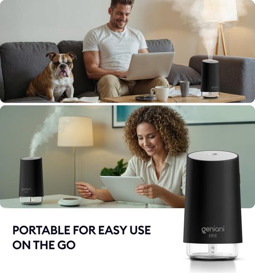 GENIANI Portable Cool Mist Humidifier - USB Powered Desktop Humidifier for Office & Baby Room | Auto Shut Off, Night Light, Black, 0.25L