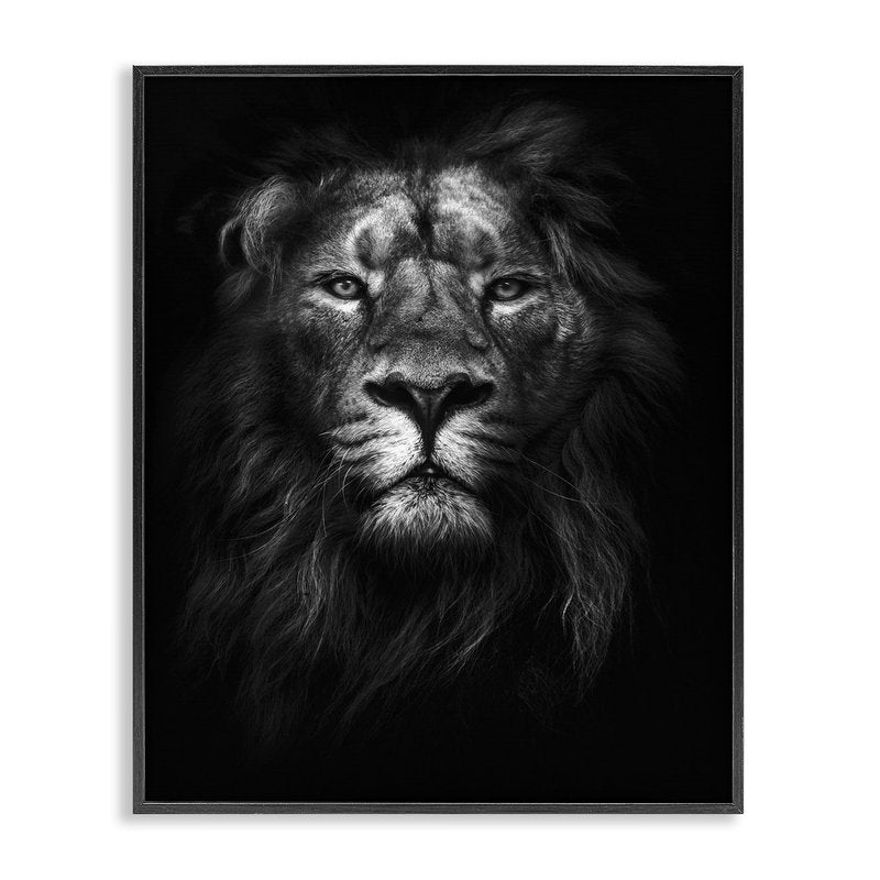 Stupell Industries King of The Jungle Lion in Shadows White Photography Black Framed Wall Art, 24x30, Multicolor